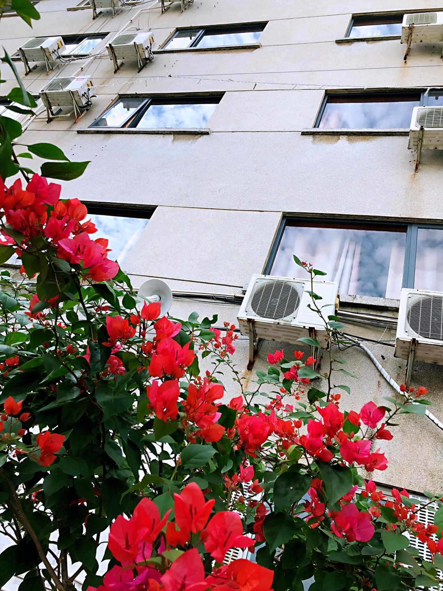 Lakeside Inn Quế Lâm Ngoại thất bức ảnh